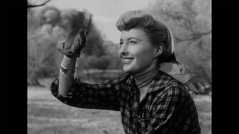 Extrait Les furies avec Barbara Stanwick en DVD et médiabook