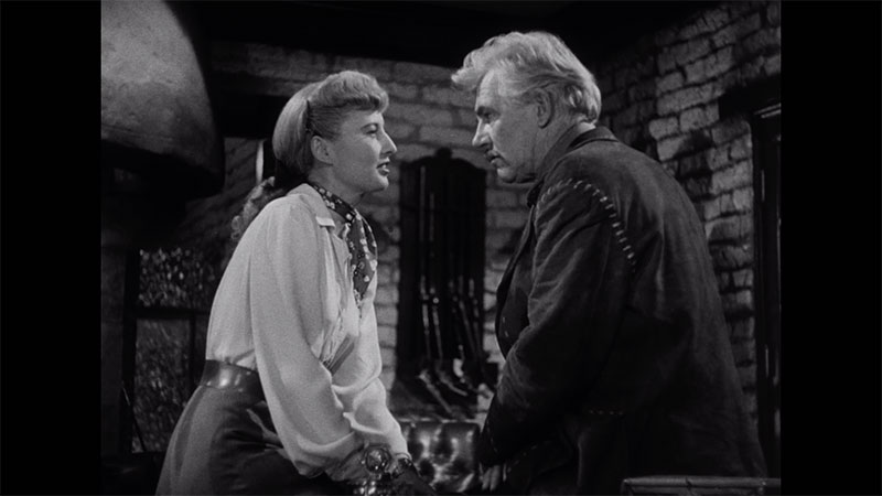 Extrait Les furies avec Barbara Stanwick en DVD et médiabook